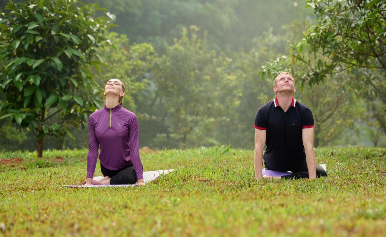 Tigris Valley Holistic Wellness Resort Vallikavungal Ngoại thất bức ảnh